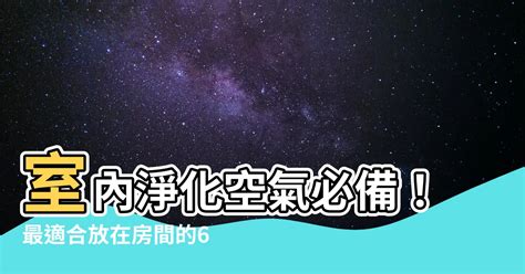 適合放房間的植物|房間適合放什麼植物？8款能淨化空氣、過濾毒素的室。